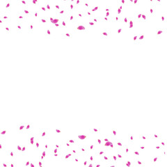 Purple rose petals border decoration frame transparent 