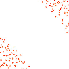 Red rose petals corner decoration frame transparent background 