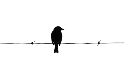 Black and white bird illustration of a silhouette on a wire