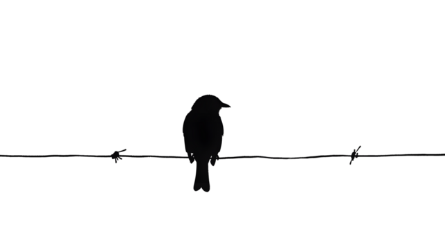 Black and white bird illustration of a silhouette on a wire