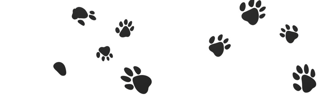 black paw prints in a seamless pattern on a white background,