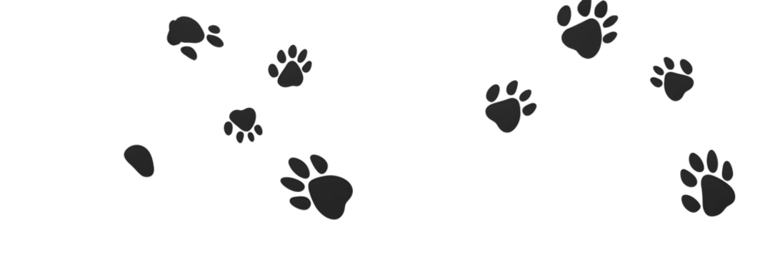 black paw prints in a seamless pattern on a white background,