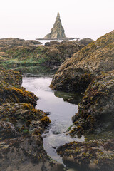 Tidal pools of the Olympic National Park, Pacific Ocean, coast line, Dramatic Rocky Coastline