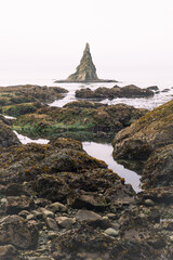 Tidal pools of the Olympic National Park, Pacific Ocean, coast line, Dramatic Rocky Coastline