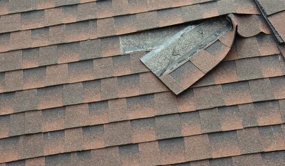 Torn and Bent Roof Shingle - Closeup