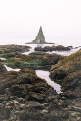 Tidal pools of the Olympic National Park, Pacific Ocean, coast line, Dramatic Rocky Coastline