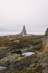 Tidal pools of the Olympic National Park, Pacific Ocean, coast line, Dramatic Rocky Coastline