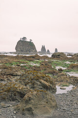 Rocky islands off the Olympic National Park coast, Pacific Ocean, coast line, Dramatic Rocky Coastline