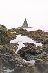 Tidal pools of the Olympic National Park, Pacific Ocean, coast line, Dramatic Rocky Coastline