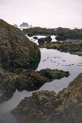 Tidal pools of the Olympic National Park, Pacific Ocean, coast line, Dramatic Rocky Coastline