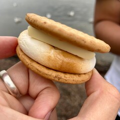 hand holding a cookie (smorf)
