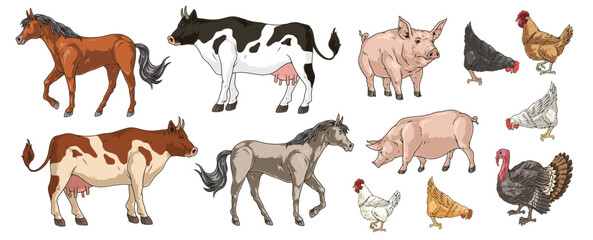 Cattle and poultry set stickers