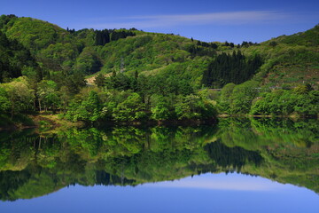 Fototapeta premium 岩手県西和賀町 新緑の錦秋湖