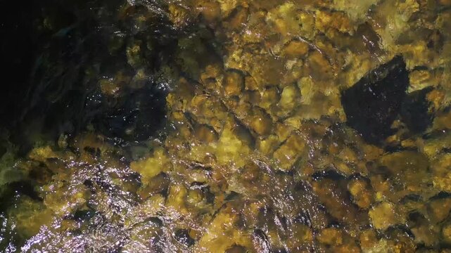 Rio Lerez, a rocky river in Pontevedra, South West Galicia, highlighting its clear, rugged waters