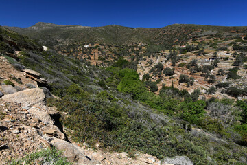 Kulturlandschaft auf Andros (Kykladen, Griechenland) // Landscape on Andros (Cyclades, Greece)