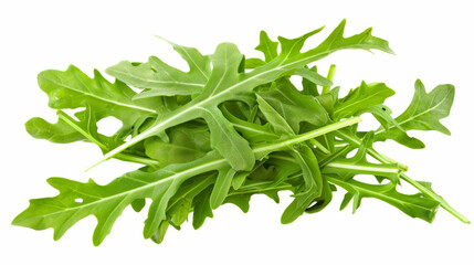 A whole arugula isolated on a white background