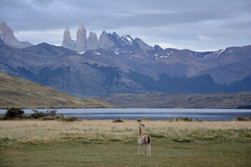 Torres Del Paine, Patagonia, Chile