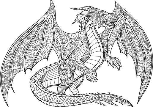 Adult coloring book page with beautiful dragon on white background