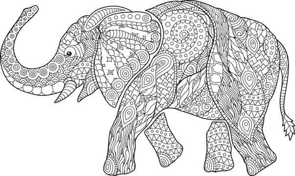 Beautiful coloring book page with cartoon elephant on white background