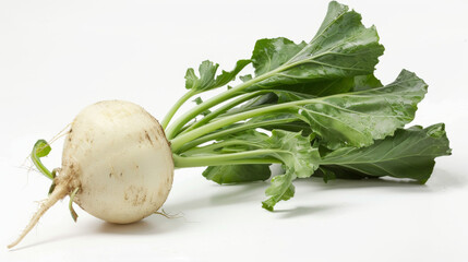 A whole turnip isolated on a white background
