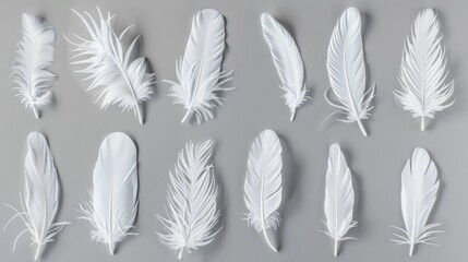 Obraz premium A collection of white feathers scattered on a gray surface