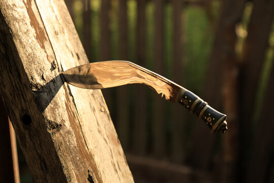 Nepalese Kukri in a wood