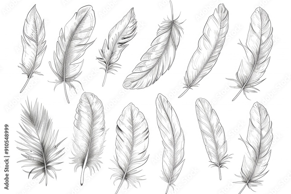 Poster a collection of colorful feathers