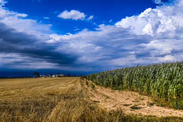 Colors, Po Valley, countryside, Alessandria, Piedmont, Italy