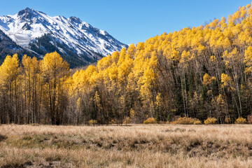 Fototapeta premium Early Fall snow capped peaks of the Elk Mountain Range rise above the colorful Castle Valley near the ghost town of Ashcroft Colorado.
