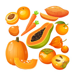 Vector illustration of fruits and vegetables in orange color includes apricot, carrots, onion, pumpkin, exotic papaya, batata, citrus, physalis, persimmon.
