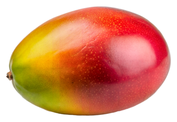 Freshly ripe mango displaying vibrant colors under natural light during late afternoon, cut out - stock png.