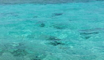 mar caribe