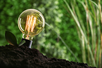 Glowing light bulb and green leaves in soil on blurred background. Energy saving concept.