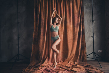 Full length body photo of no filter gorgeous slender woman tempting figure khaki underclothes isolated on brown color textile background © deagreez