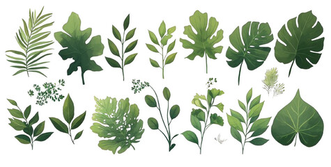Collection of Various Types of Green Leaves on Transparent Background. Nature and Botanical Concepts.

