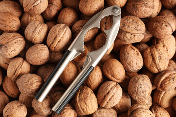 Texture of tasty walnuts and nutcracker as background