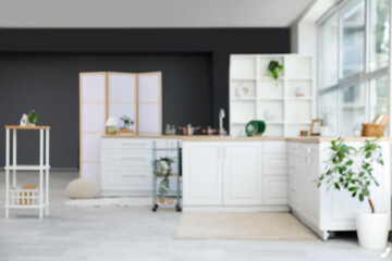 Blurred view of kitchen with counters, plants and folding screen