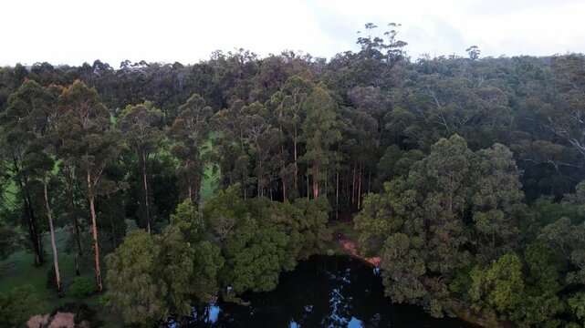 Beautiful lakes everywhere set amongst lush woodland and plants at Pemberton WA