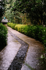 A road lined with trees and ornamental plants, creating a cool