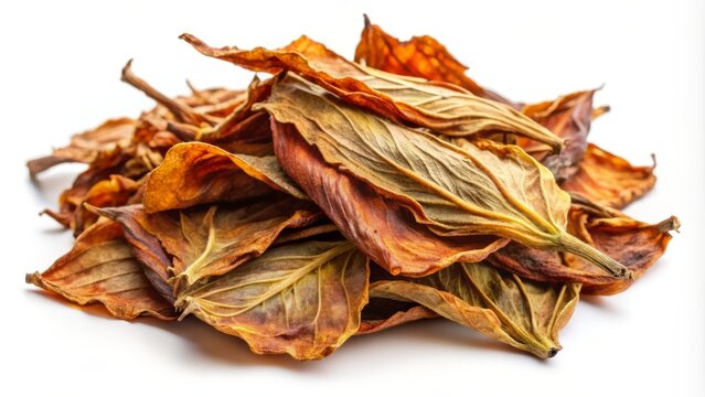 Close-up of dried daun ketapang leaves on a crisp white background, a natural and nutritious food source for healthy and vibrant Siamese fighting fish.
