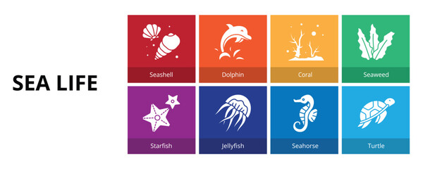 Sea Life Glyph Solid Banner Web Icon Set Vector Illustration, Seashell Dolphin Coral Seaweed Starfish Jellyfish