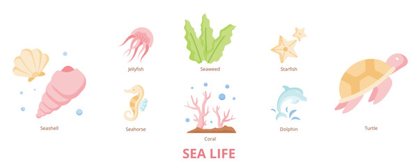 Sea Life Flat Banner Web Icon Set Vector Illustration, Seashell Dolphin Coral Seaweed Starfish Jellyfish ©  karyative