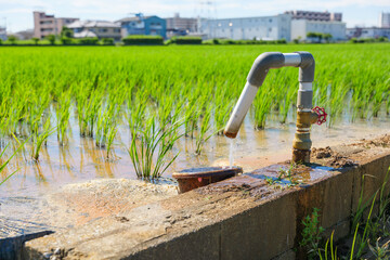 Pipes supplying water for rice paddies and agriculture, rural villages in summer