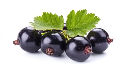 Fototapeta premium Blackcurrants with Green Leaves