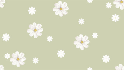 Floral seamless pattern, white cosmos flowers on green background