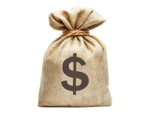 A money bag isolated on white transparent background