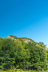 Fototapeta premium A winding road with view of mountains in White Mountain National Forest.