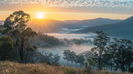 Obraz premium Stunning Sunrise Over Misty Valley with Rolling Hills and Trees in the Foreground