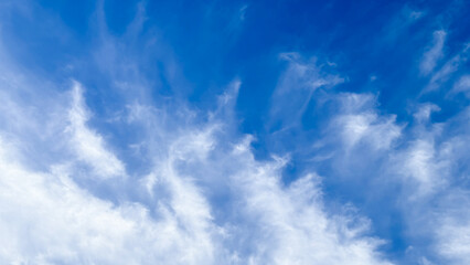 Fototapeta premium Tokyo