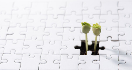 Young plant coming through a blank of white jigsaw puzzle